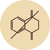 Pthalate
Free