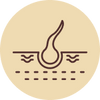 Scalp
Health