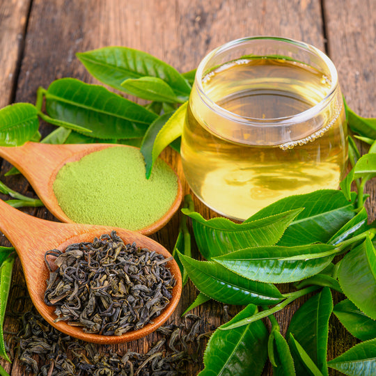 Green Tea Extract