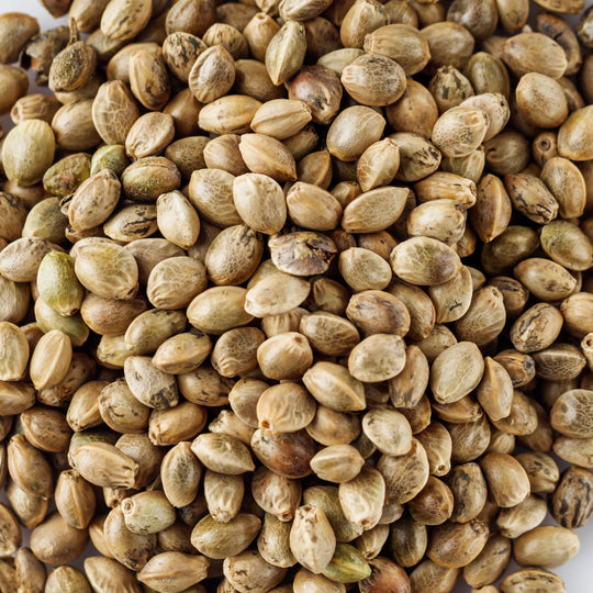 Hempseed Oil