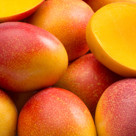 Mango Seed Oil
